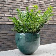 Pot thom d30h27cm ocean