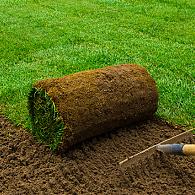 Graszoden 1m² ca 40x250cm. LET OP: De graszoden dienen op vrijdags gehaald en verwerkt te worden. zie verdere info op de site