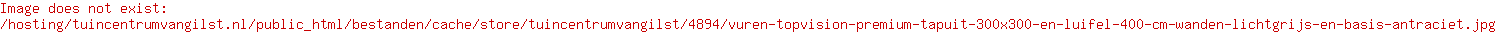 Vuren Topvision Premium Tapuit, 300x300 en luifel 400 cm, wanden lichtgrijs en basis antraciet.