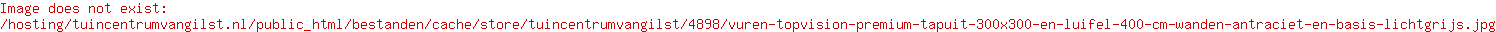 Vuren Topvision Premium Tapuit, 300x300 en luifel 400 cm, wanden antraciet en basis lichtgrijs.