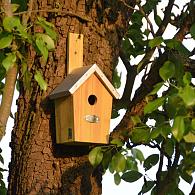 vogelhuisjes   insectenhotels voorjaarzomer