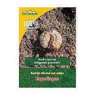 Aaltjes h tegen engerlingen 5mln