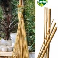 Bamboestok l60cm d6-8mm 10st