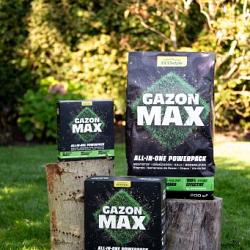 Gazonmax 4kg