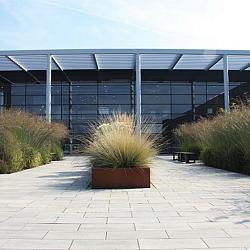 60Plus Soft Comfort 30x60x6 cm Grezzo