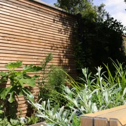 Douglas geschaafd blokhutprofiel 2.8x19.5x224 cm, onbehandeld