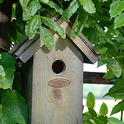 Nestkast winterkoning dk l11b16h22