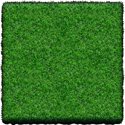 Graszoden 1m² ca 40x250cm. LET OP: De graszoden dienen op vrijdags gehaald en verwerkt te worden. zie verdere info op de site