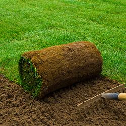Graszoden 1m² ca 40x250cm. LET OP: De graszoden dienen op vrijdags gehaald en verwerkt te worden. zie verdere info op de site