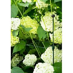 Raster voor hortensia vierkant