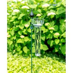 Regenmeter peacock met ring 24cm