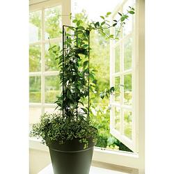 Verbindingsclips trellis vario 8st