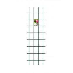 Trellis s incl. 4 muurbev. groen