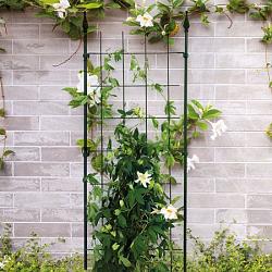 Trellis s incl. 4 muurbev. groen
