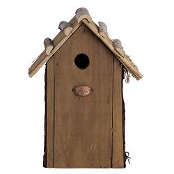 Nstkst koolmees dak riet l15b19h32