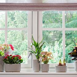 Pot thies d19h17cm olijfgroen