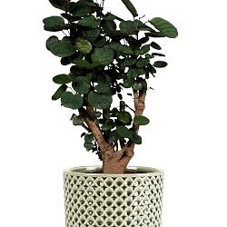 Pot thies d19h17cm olijfgroen