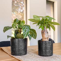 Pot sil d13h13cm mat zwart