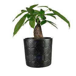 Pot sil d13h13cm mat zwart
