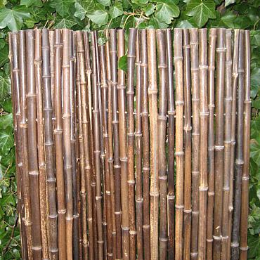 Bamboerolscherm Black 100x180 cm