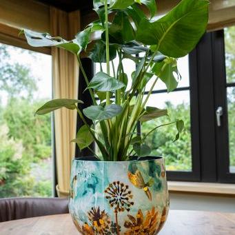 Pot fresia fresh d15h12cm