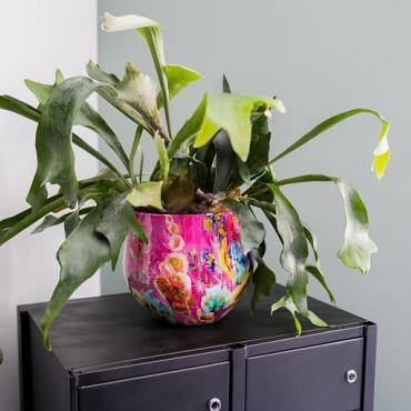 Pot fiesta d28h25cm fuchsia