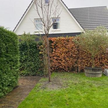 Waalformaat antieke gebakken klinker