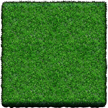 Graszoden 1m² ca 40x250cm. LET OP: De graszoden dienen op vrijdags gehaald en verwerkt te worden. zie verdere info op de site