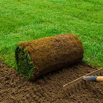 Graszoden 1m² ca 40x250cm. LET OP: De graszoden dienen op vrijdags gehaald en verwerkt te worden. zie verdere info op de site