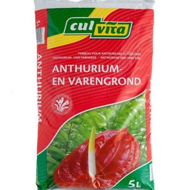 ANTHURIUM en VARENgrond 5 L OP=OP
