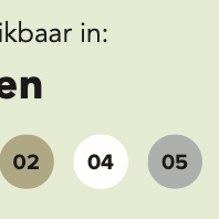 Veranda Excellent 700 vuren, 712x310 cm, dakplaten opaal, lichtgrijs gespoten.