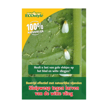 Sluipwesp tegen larven witte vlieg
