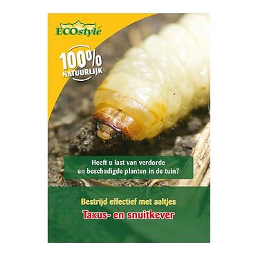 Aaltjes l tegen larven taxus-kever