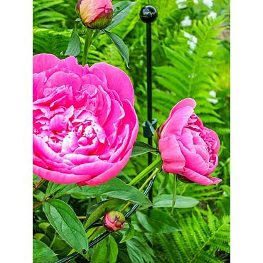 Steunring pinnup rond d38cm