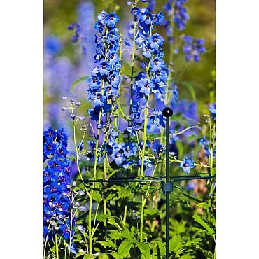 Steunring pinnup rond d38cm