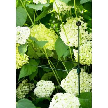 Raster voor hortensia vierkant