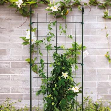 Trellis m incl. 4 muurbev. groen