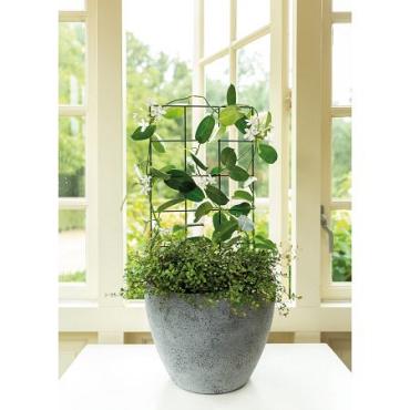 Pottrellis vario m l30h70cm