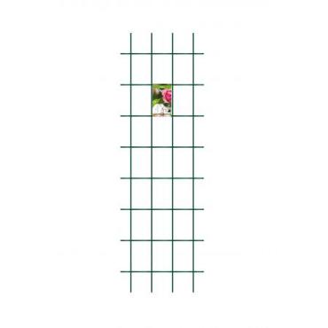 Trellis s incl. 4 muurbev. groen