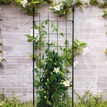 Trellis s incl. 4 muurbev. groen