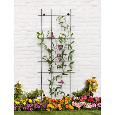 Trellis m incl. 4 muurbev. groen