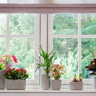 Pot thies d19h17cm olijfgroen