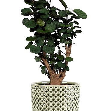 Pot thies d19h17cm olijfgroen