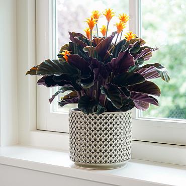 Pot thies d19h17cm olijfgroen