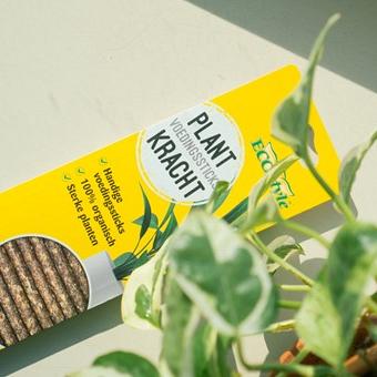 Plantkracht sticks 30st