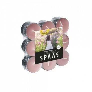 Geurthlcht 4.5u 18st ginger love