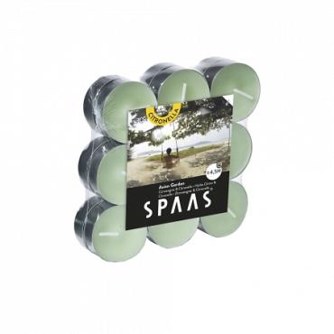 Geurthlcht 4.5u 18st ginger love