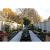 Cera4line Mento 100x100x4 cm Bluestone Light 2.0