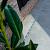 Ultra Drain Silverline watergoot 100x6x10,5 cm 4 stuks