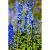 Steunring pinnup rond d38cm